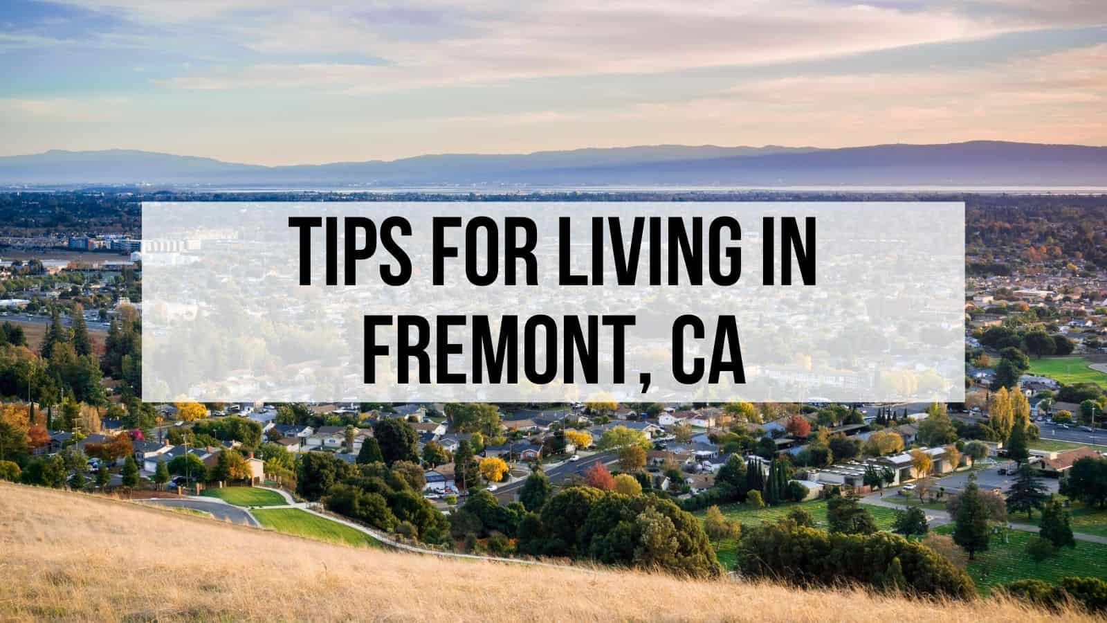 Affordable Housing  City of Fremont, CA Official Website